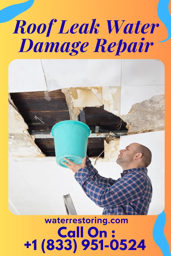 Roof Leak Water Damage Repair in Neodesha, KS