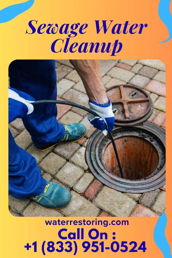 Sewage Water Cleanup in Neodesha, KS